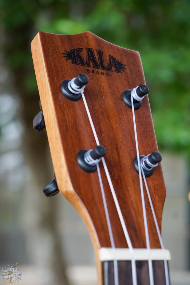Kala KA-SCAC-SLNG Solid Cedar Top, Acacia Long Neck Soprano 