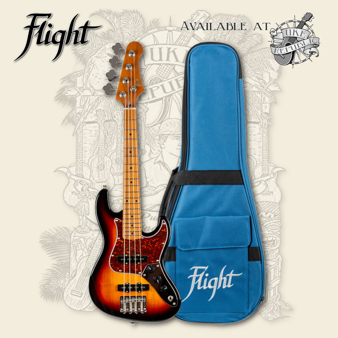 Buy Ashton ARM1200 Series Gig Bag for Bass Guitar Online at desertcartINDIA
